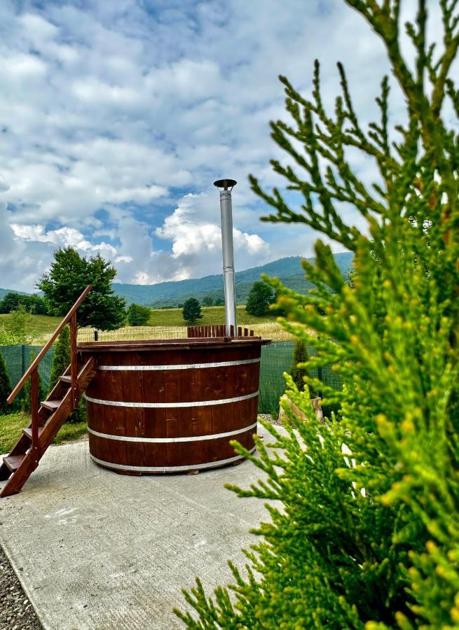 A-Frame Bucovina- Paradis Bucovinean Capu Cîmpului Buitenkant foto